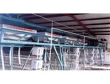 蛋、種雞自動給料機(jī)